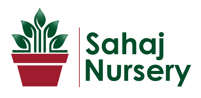Sahaj Nursery